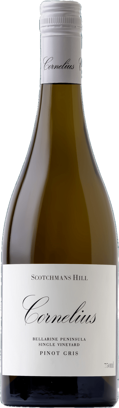Pinot Gris, Single Vineyard 2024 — Bellarine Peninsula